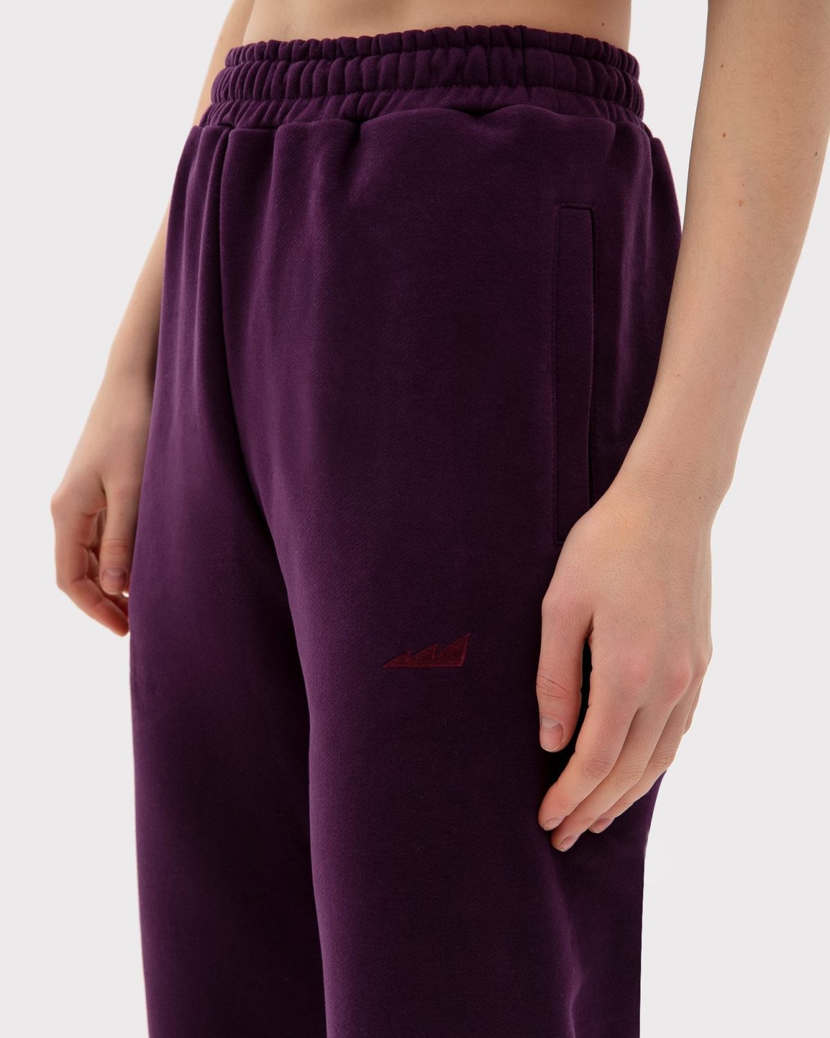 Брюки джоггеры Classic Nikasport, W5CL83-PLU, цвет сливовый